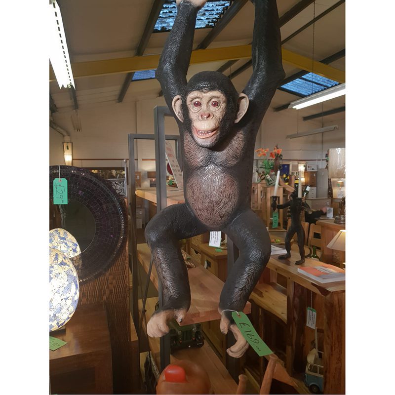 Hanging Chimp